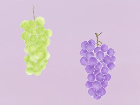 葡萄 葡萄,緑,実,紫,房,丸い,秋のイラスト素材