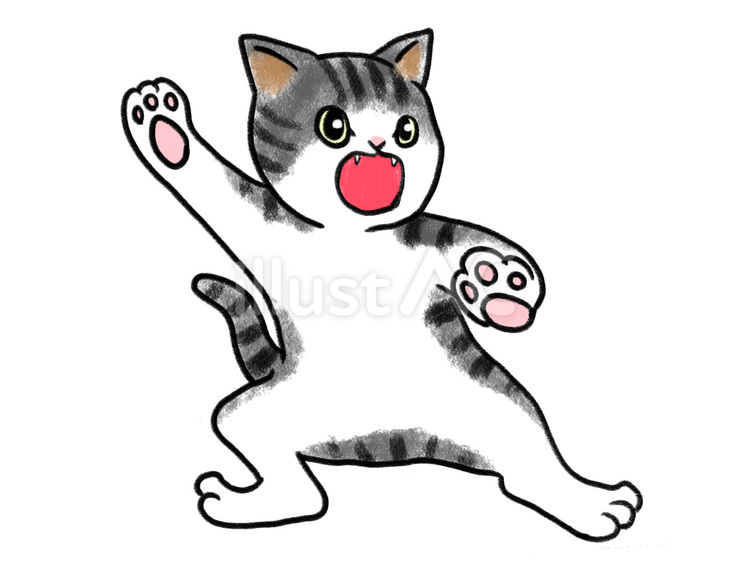 びっくりしている猫　サバトラ 猫,ペット,動物のイラスト素材