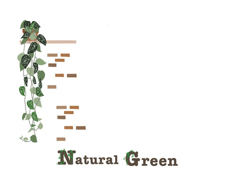 Illustration, foliage plant, green, simple, JPG and PNG