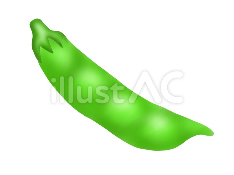 さやえんどう(主線なし) さやえんどう,野菜,食べ物のイラスト素材