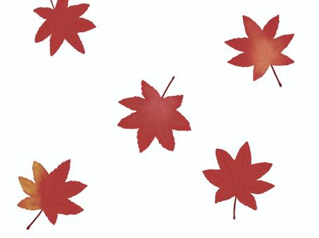 舞い落ちるもみじのイラスト