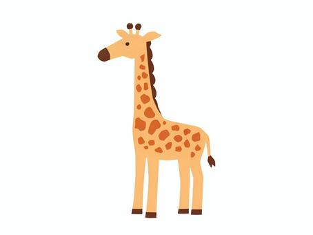 きりん キリン,動物,フラット,シンプル,可愛い,絵本風,黄色のイラスト素材