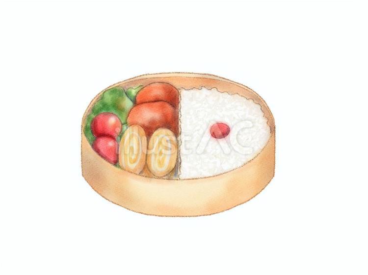 水彩画風弁当のイラスト 弁当,おかず,卵焼きのイラスト素材