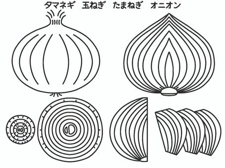 たまねぎ　線画のみ たまねぎ,輪切り,デフォルメ,シンプル,ぬりえのイラスト素材