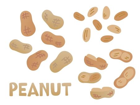 peanut illustration, peanuts, peanuts, food, JPG, PNG and AI