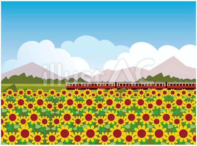 日本の夏の田舎風景 夏,ひまわり,夏季のイラスト素材