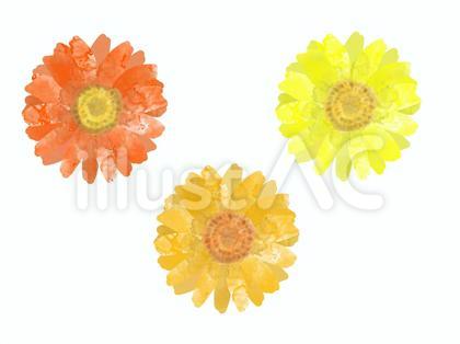 ガーベラの花のイラストセット