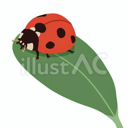 てんとう虫
