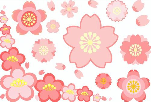 桜セット