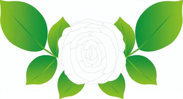 Illustration, rose, rose, flower, JPG and AI