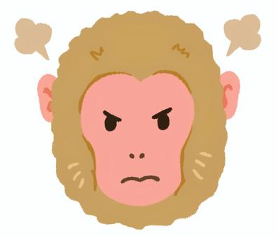 ぷんぷん怒った表情のニホンザルの顔 猿,ニホンザル,怒る,怒り,プンプン,不機嫌,激怒,不快,顔,表情のイラスト素材