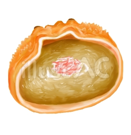 カニ味噌