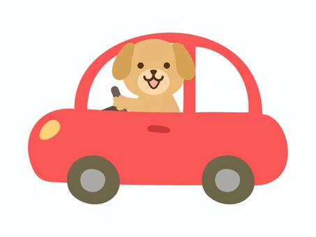 くるま_犬_赤 車,動物,犬,運転,乗用車,普通車,軽自動車,自動車,乗り物,かわいいのイラスト素材