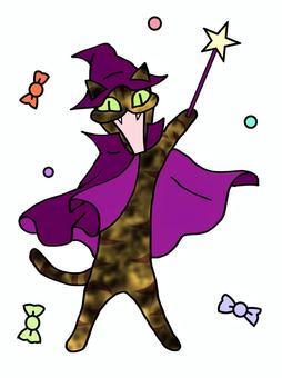 魔法使いサビ 猫,サビ,魔女,コスプレ,ハロウィンのイラスト素材