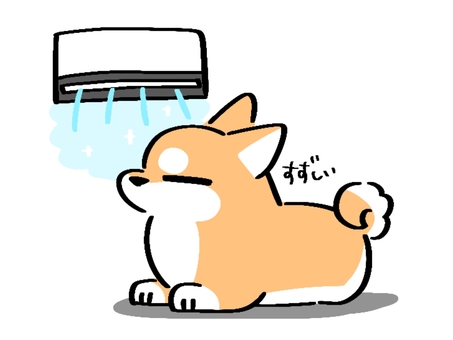冷房で涼む柴犬 犬,柴犬,動物,ペット,エアコン,涼しい,冷房,病気のイラスト素材