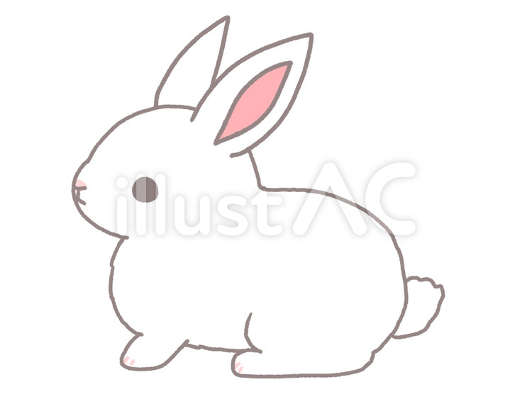 白うさぎのイラスト 白うさぎ,うさぎ,兎のイラスト素材