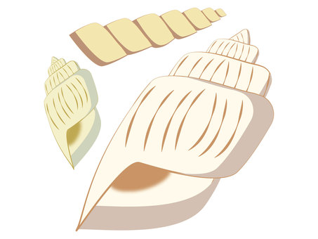 Illustration, shell, summer, sea, JPG, PNG and AI