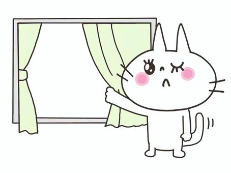 カーテンを開ける猫