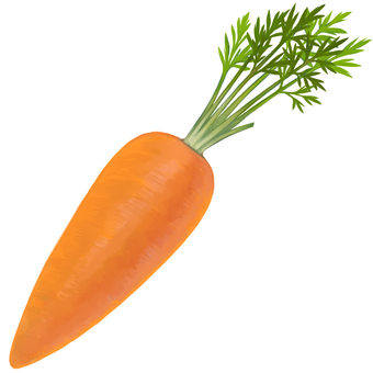 にんじん 食べ物,にんじん,オレンジ,根菜,厚塗りのイラスト素材