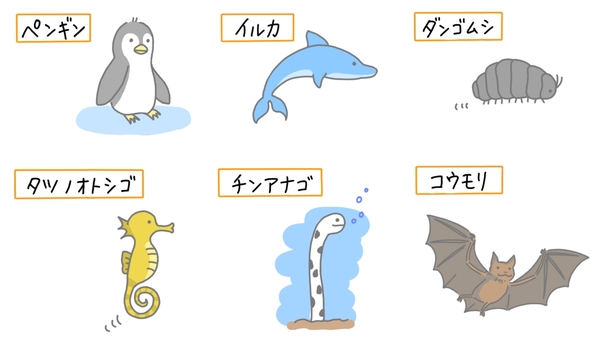 動物の分類 中学理科,理科,生物,動物,分類のイラスト素材