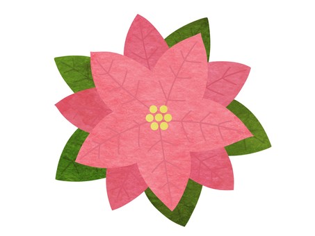 ポインセチアの手描き水彩イラスト ピンク