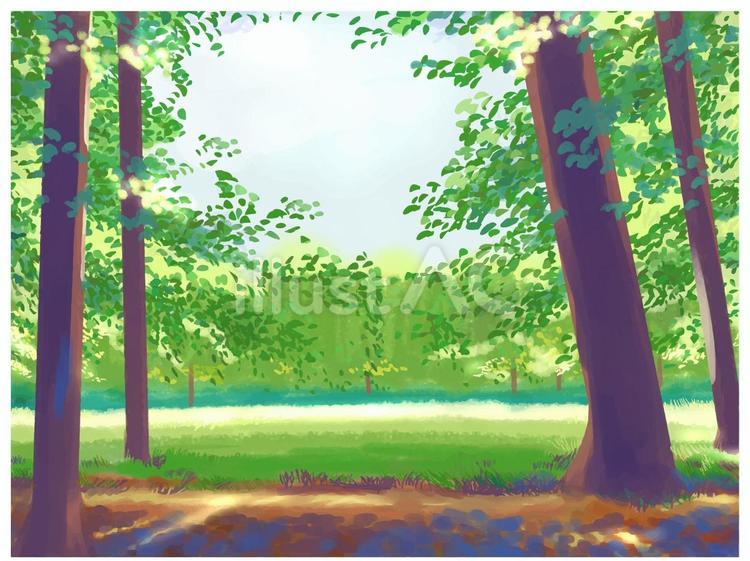 森の中の光イラスト - No: 26058915｜無料イラスト・フリー素材なら「イラストAC」