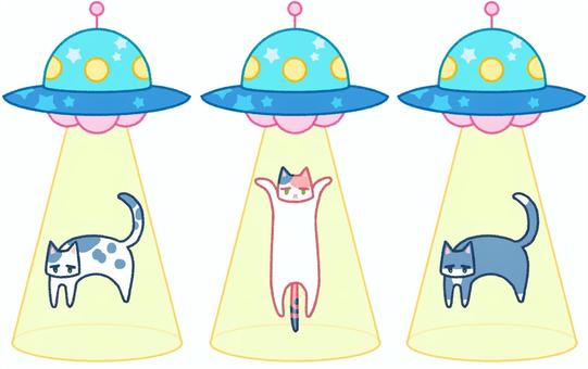 キャトキャット 動物,和猫,三毛猫,ブチ,白黒,ufo,キャトルミューティレーション,アブダクション,連れ去り,誘拐のイラスト素材