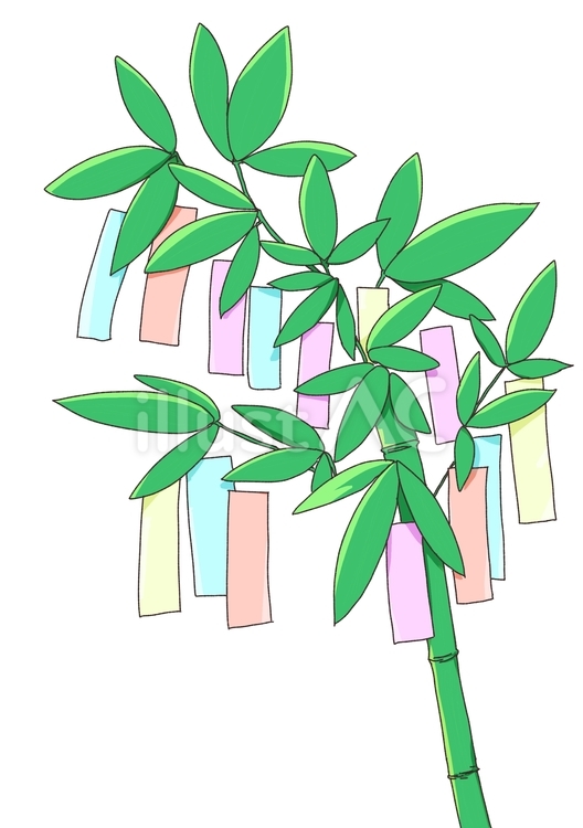 七夕 七夕 七夕,夏,短冊のイラスト素材