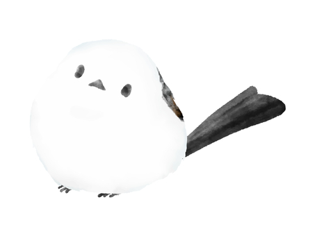 見上げるシマエナガさん（水彩） シマエナガ,鳥,見上げる,かわいい,仕草,手書き,手描き,ベクター,水彩,美しいのイラスト素材