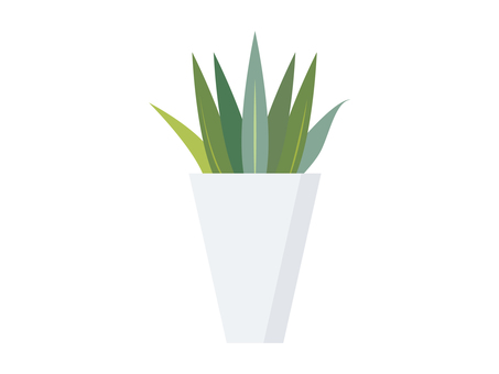 Illustration, plant, foliage plant, potted plant, JPG, PNG and AI