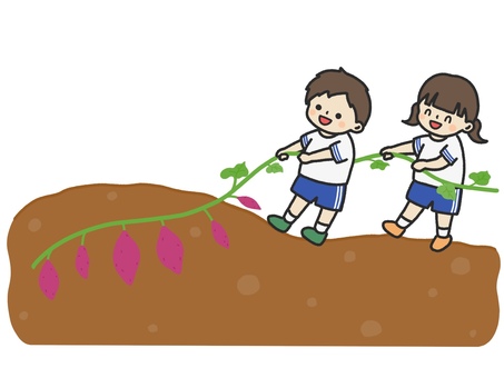 芋掘りをする子供  芋掘り,芋,秋,子供,子ども,かわいい,イベント,行事,さつまいも,引っ張るのイラスト素材
