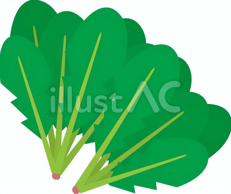 食物シリーズ野菜　ほうれん草２束 野菜,ほうれん草,ほうれんそうのイラスト素材