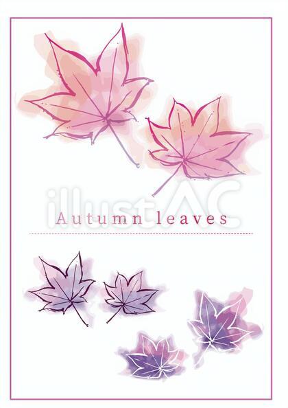 水彩紅葉パープル