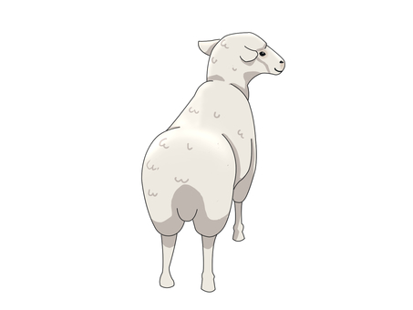 羊（後ろ姿） メリノ種,ヒツジ,動物,ウール,白,後ろ姿のイラスト素材
