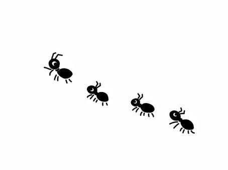 アリの行進 アリの行進 アリ,虫,昆虫,行列,害虫,かわいい,害,行進,侵入,シンプルのイラスト素材