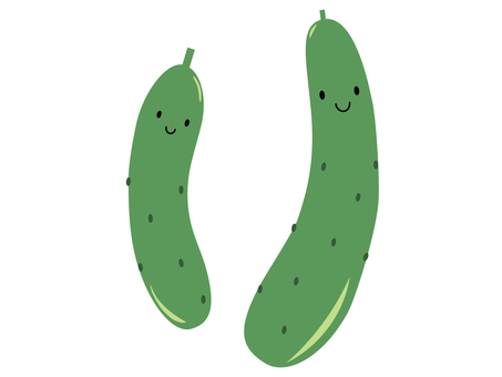 夏の野菜 きゅうり