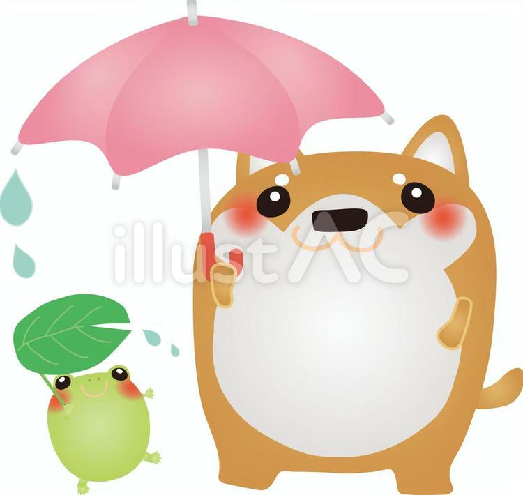 しば犬とカエル 犬,雨,梅雨のイラスト素材