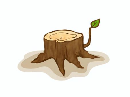 きりかぶ 切り株,植物,木,葉っぱ,自然,根っこのイラスト素材