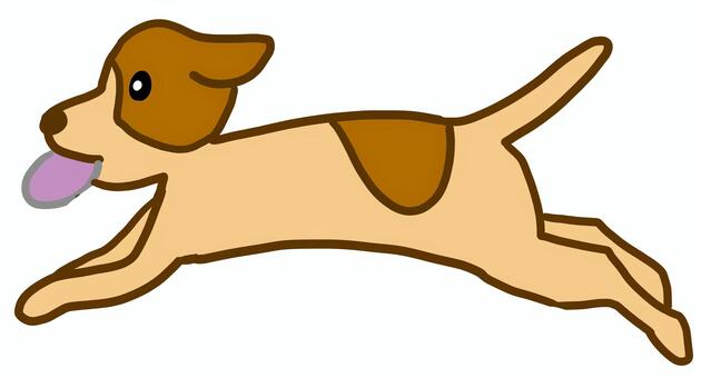 ディスクをキャッチ フライングディスク,犬,キャッチ,咥える,飛ぶ,ジャンプ,ディスク,円盤,フリスビー,遊ぶのイラスト素材