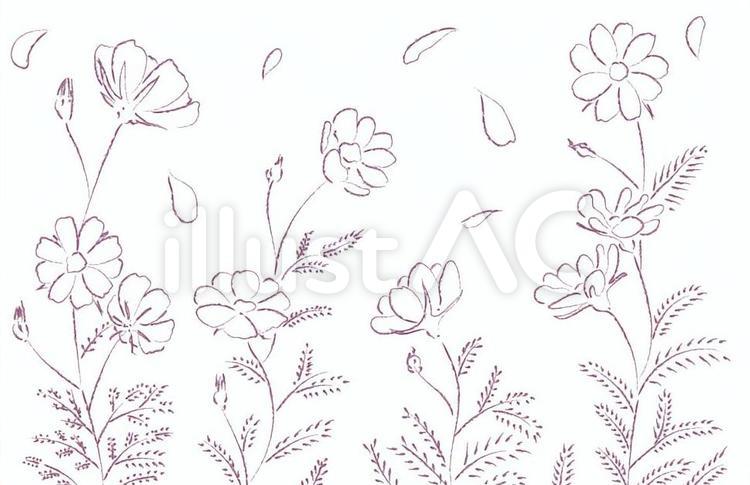 コスモスの花_手描き風 コスモス,秋桜,花のイラスト素材