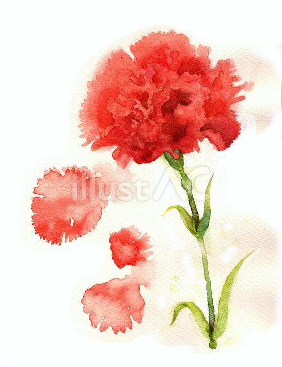 カーネーション母へ 母の日,花,植物のイラスト素材