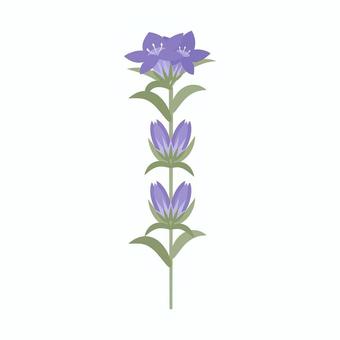竜胆の花イラスト 茎と葉付き 竜胆,りんどう,秋,植物,花,自然,葉,葉っぱ,かわいい,きれいのイラスト素材