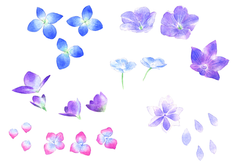 淡い花セット 花,セット,紫,水彩,手描き,アナログ,装飾,飾り,ワンポイント,素材のイラスト素材