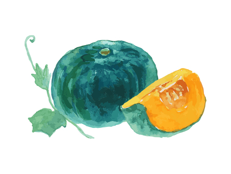 水彩のリアルでシンプルなカボチャ かぼちゃ,カボチャ,野菜,秋,食べ物,水彩,水彩絵の具,手描き,手書き,白背景のイラスト素材