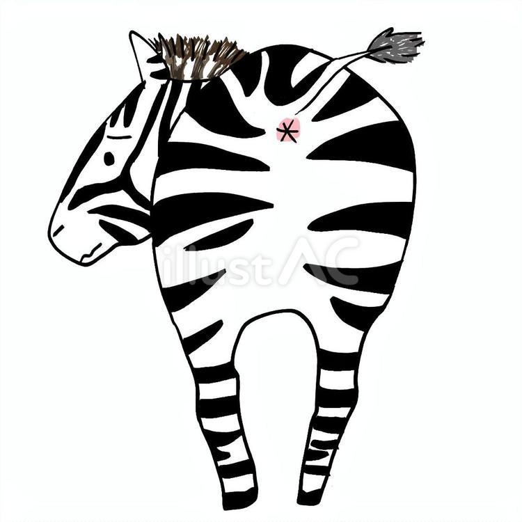 シマウマのおしり 動物,animal,お尻のイラスト素材