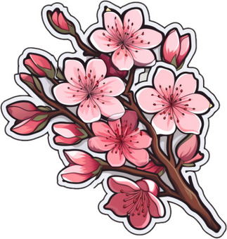 Sakura, , JPG và PNG