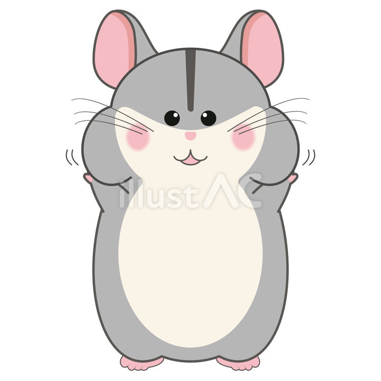 頬っぺたを膨らませたハムスター ハムスター,ジャンガリアン,グレーのイラスト素材