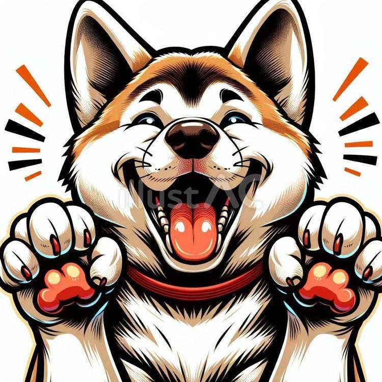 嬉しそうな顔をしている秋田犬 秋田犬,犬,動物のイラスト素材