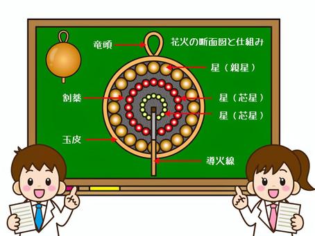 花火玉の断面図の説明をする白衣の子ども 花火玉,断面図,玉,花火,火薬,球体,竜頭,割薬,玉皮,星のイラスト素材