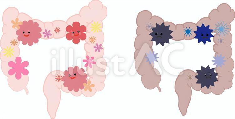 顔つき　腸内フローラ 顔つき,善玉,悪玉のイラスト素材